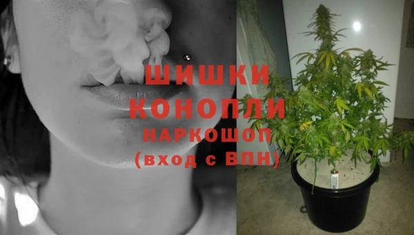 МДПВ Богородицк