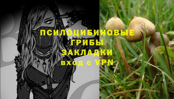 МДПВ Богородицк