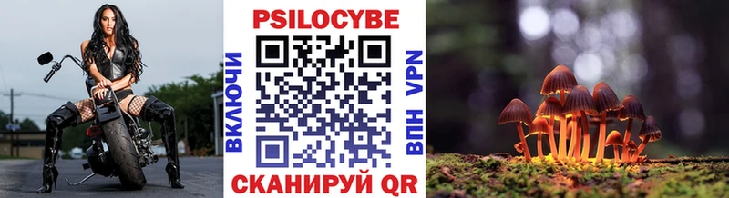 Галлюциногенные грибы Psilocybe  Буй 
